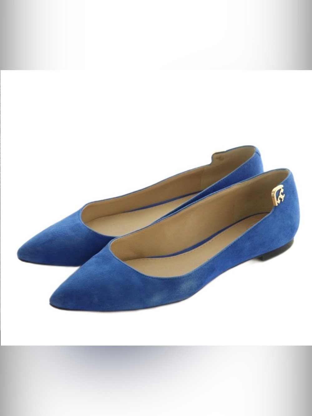 Tory Burch Blue Suede Pointed-Toe Women's Flats